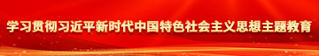 操逼夜晚学习贯彻习近平新时代中国特色社会主义思想主题教育